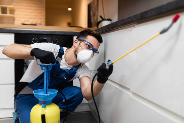 Best Wasp Removal Services  in Charlotte, MI