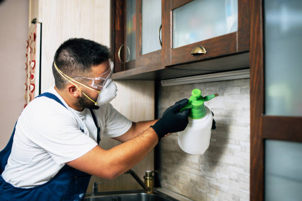 Wildlife Control Services in Charlotte, MI