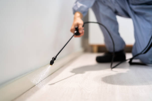 Best Pest Prevention Services  in Charlotte, MI