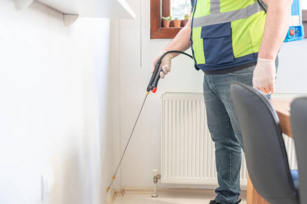 Best Termite Control Services  in Charlotte, MI