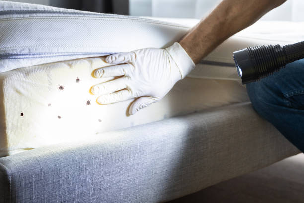 Best Pest Inspection Near Me  in Charlotte, MI